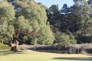 Tawharanui Lodge Warkworth Bagian luar foto